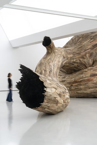 Henrique_Oliveira_Ausstellungsansicht3.jpg