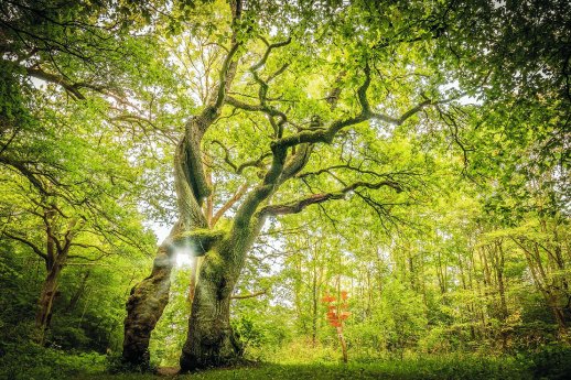 0413_savethedate (1).jpg