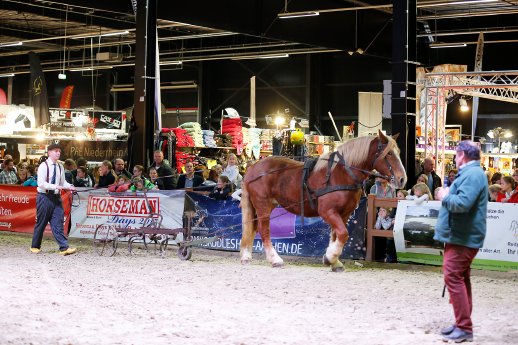 Reitsportmesse Niederrhein 4.JPG