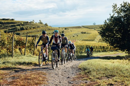 Kaiserstuhl_Gravel-Rallye Rhine Valley © Sportograf_HIRSCH-SPRUNG (1).jpg