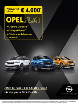 Opel-Flat-501915.jpg