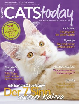01_CatsToday_Cover.jpg