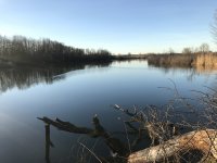 Schurr See, Birkenried