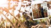 Ist eine ganzjährige Fütterung unserer Wildvögel sinnvoll?