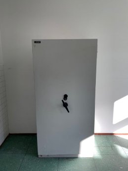 Kosten Tresor Entsorgung und Abholung.jpg