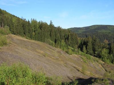 Besucher gefährden Schwermetallrasen bei Lautenthal im Forstamt Seesen
