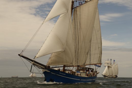 Schoner Race zur Hanse Sail 2024 (c) TZRW, Herbert Böhm.JPG