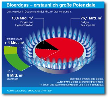 2014-27 Bioerdgas-Potenziale_Download.jpg