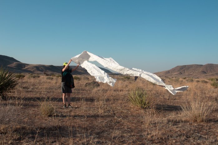 LasVegas ©CaroleFlammang.jpg