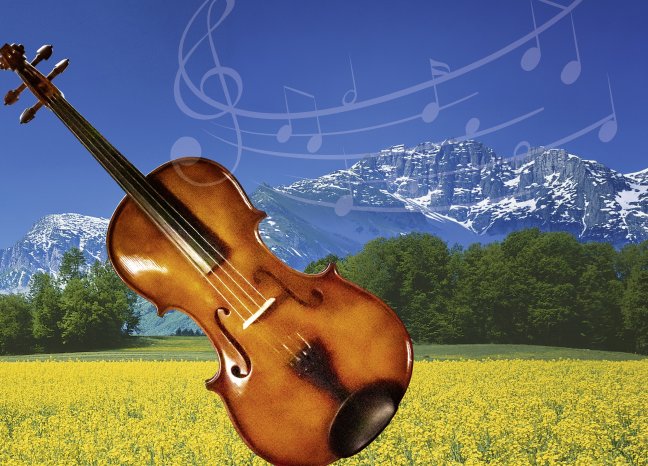 Sommerkonzert©Dirk Rückschloß.jpg