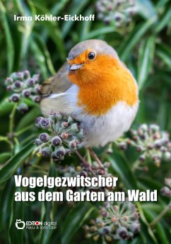 Vogelgezwitscher_cover.jpg