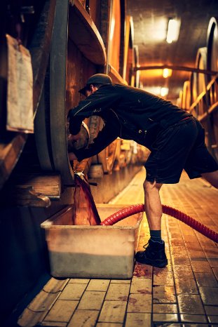 winemaker in OBERBERGEN.jpg
