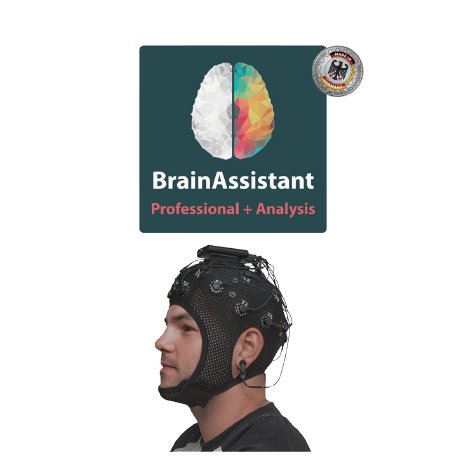 brainassistant-Analyse-2.jpg