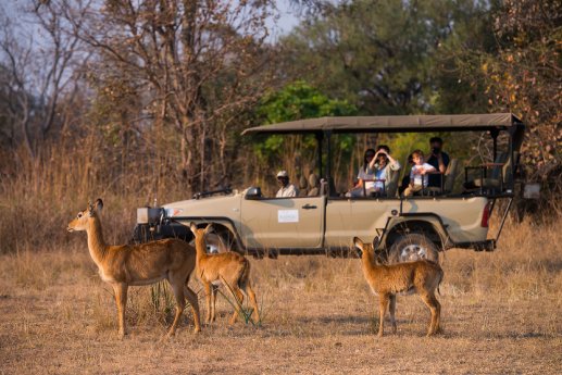 Zambia_Kafue_Safari_HiddenGemsofZambia.jpg