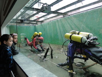 Zur Veranschaulichung der Unterwasserarchäologie zeigt das Pfahlbaumuseum am Bodensee ein Taucheraquarium