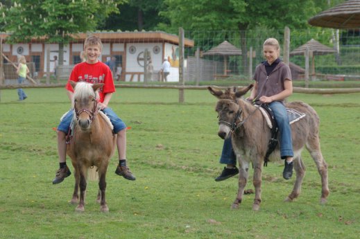 Pony und Eselreiten_1.jpg