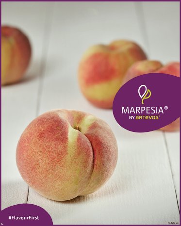 Artevos_Pfirsich_Marpesia®_‘UPR1‘-s-_Früchte.jpg