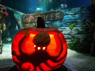 Halloween_SEA LIFE Timmendorfer Strand 2