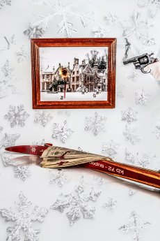 Die Mausefalle©Vincent_Stefan.jpg