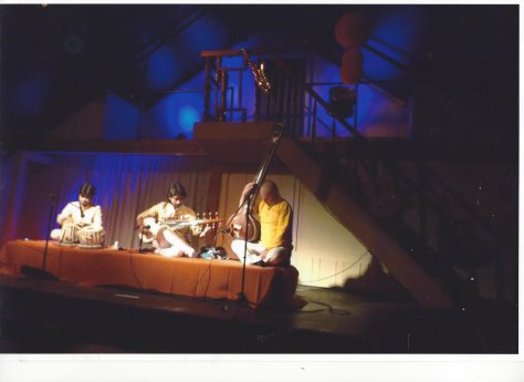 Anshuman, Birkenried 2017, Kulturgewächshaus.jpg