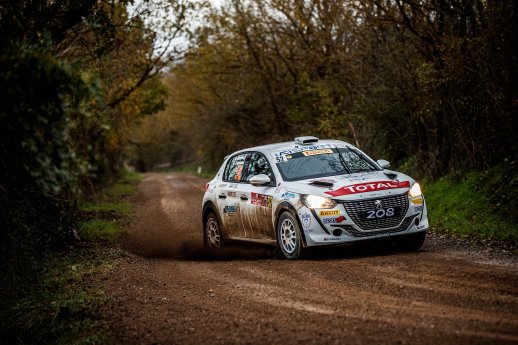 PEUGEOT 208 Rally 4 (2).jpeg