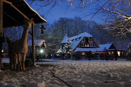 Spessart Adentsmarkt Bayrische Schanz, Copyright: Michaela Münch