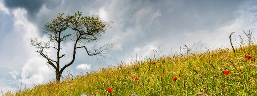 BLOGBE_1_1920x1920_520x500_fd724606-f1a0-41c8-8233-ec3aea84d503.webp