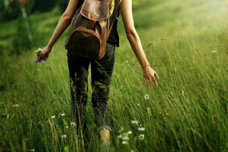 Fotolia 117803533 M Kraeuterwandern