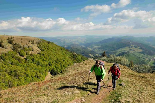 Belchen © Birgit-Cathrin Duval.jpg