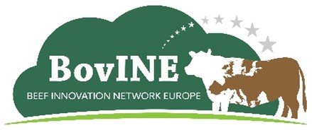 BovINE Logo.jpg