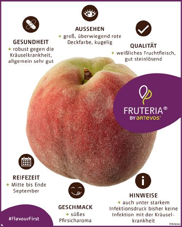 Pfirsich_Fruteria®_‘UPR2‘_Eigenschaften.jpg