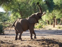 Unverfälschtes Afrika / Bilder: Karawane Reisen / Hannah Blechschmidt
