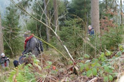 Wer mit Menschen im Wald trainiert, lernt einfühlsam und empathisch zu sein, sich zu entspannen, mit sich achtsam zu sein und so zu mehr Wohlgefühl zu finden