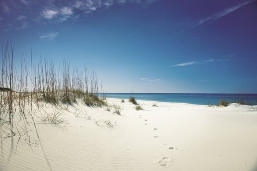 Spuren im Sand am Shell Beach_(c) Panama City Beach CVB.jpg