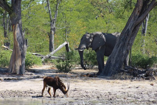 IMG_7400 (c) Juliane Link, Karawane (4).JPG