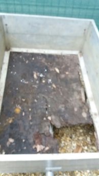 Autoverschrottung Herne – professionelle Fahrzeugentsorgung vom regionalen Fachbetrieb.jpg