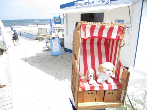 BVH_Urlaub mit Hund_Foto_Gaeding_Marcel_001.JPG