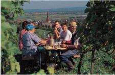 Die schönsten Events zur Weinlese und Erntedank © TI Eichstettem