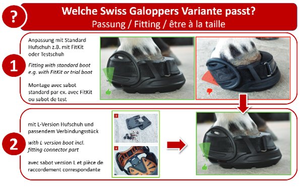 Die richtige Variante des Swiss Galoppers bestimmen..PNG