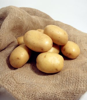 Kartoffeln_© José Raúl Pérez - Fotolia.com.jpg