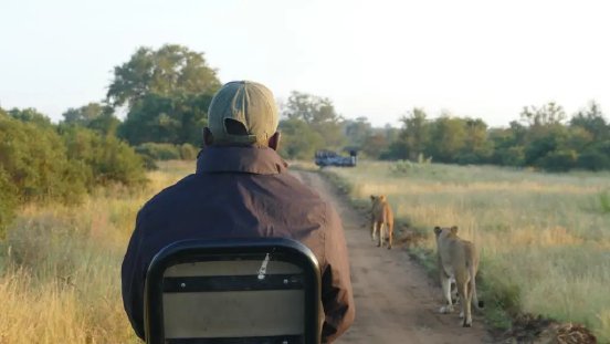 Timbavati Pirschfahrt.webp