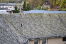 Bemoosungen auf dem Dach können sich bei Starkregen lösen und die Dachrinne zum Überlaufen bringen. Dennoch sind sie kein Fall für dubiose Dachreiniger, sondern können vom Dachdecker-Fachbetrieb oft manuell mit dem Besen entfernt werden.