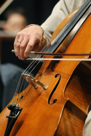 Cello_nah01.jpg