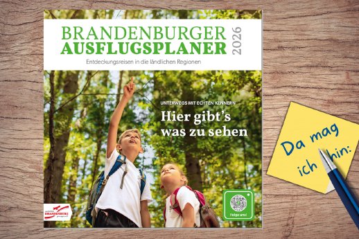 Ausflugsplaner auf Holz hell.png