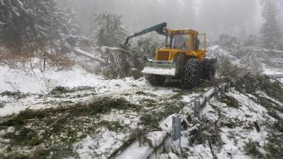 Sturmtief Eberhardt - Landesforsten warnen vor Betreten der Wälder