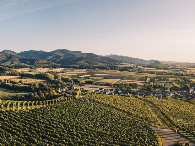 web%20Badische%20Weinstra%C3%9Fe_%C3%96lbergkapelle%20Ehrenkirchen-Ehrenstetten%20%C2%A9%20Chris.jpg