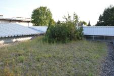 Eine Graslandschaft mit Buschwerk: Auch das ist auf einem fachgerecht angelegten Gründach möglich.
