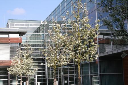RheinAhrCampus Remagen der HS Koblenz im Frühling (Bildquelle: Privat)