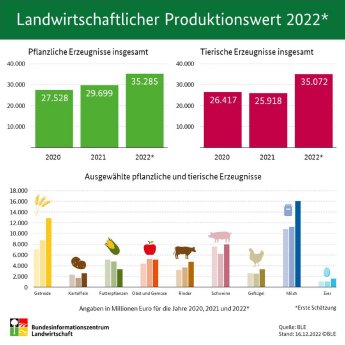 Landwirtschaftlicher_Produktionswert_2022.jpg
