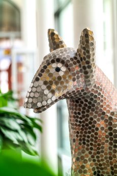 Pfenningfuchs 2_Foto Eugen Mesow.jpg